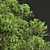 Ziziphus Jujuba Green Red Plant 3D model small image 2