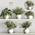 Versatile Hanging Indoor Plant Set 3D model small image 2