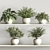 Versatile Hanging Indoor Plant Set 3D model small image 3