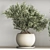 Versatile Hanging Indoor Plant Set 3D model small image 5