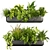 Quality Indoor Plant Collection 417 3D model small image 1