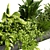 Quality Indoor Plant Collection 417 3D model small image 2