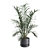 Exotic Indoor Plants Collection - 31 3D model small image 6