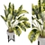 Modern Indoor Plants Collection Set 3D model small image 1