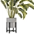 Modern Indoor Plants Collection Set 3D model small image 3