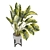 Modern Indoor Plants Collection Set 3D model small image 5