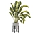 Modern Indoor Plants Collection Set 3D model small image 6