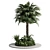 Tropical Outdoor Plant Collection 3D model small image 1