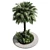 Tropical Outdoor Plant Collection 3D model small image 2