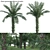 Diverse 3D African Oil Palm 3D model small image 1