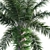 Diverse 3D African Oil Palm 3D model small image 3