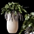 Ergo Graphics Cappuccino Planter 3D model small image 1