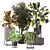  2015 Indoor Plants Collection 629 3D model small image 1