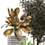  2015 Indoor Plants Collection 629 3D model small image 2