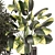  2015 Indoor Plants Collection 629 3D model small image 3