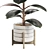 Glossy Ficus Elastica Indoor Plant 3D model small image 2