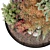 Urban Alpine Hill Outdoor Plant 3D model small image 6