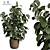 Modern Indoor Plant Decor 167 3D model small image 2