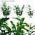 Complete 3D Plant Models Solution 3D model small image 1