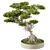 Zen Bonsai Plant 460 3D model small image 1