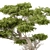 Zen Bonsai Plant 460 3D model small image 2