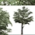 European Common Ash Tree Pair 3D model small image 5