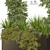 Modern Outdoor Plant 3D Model 3D model small image 2