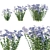 Wild Blue Phlox Flower 3D 3D model small image 1