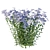 Wild Blue Phlox Flower 3D 3D model small image 2