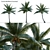 Variety-Enhanced High-Quality 3D Coconuts 3D model small image 1