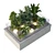 Glass-Encased Indoor Plant Model 3D model small image 2