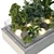 Glass-Encased Indoor Plant Model 3D model small image 3