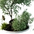 Stylish Outdoor Plant 3D Model 3D model small image 2