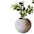 Modern Minimalist Interior Plant 07 3D model small image 2