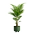 Tropical Beauty Areca Palm 3D model small image 4