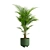 Tropical Beauty Areca Palm 3D model small image 6