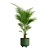 Tropical Beauty Areca Palm 3D model small image 7