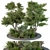 Outdoor Plant 2015 Growth Bundle 3D model small image 1