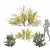 Botanical 3D Plant Collection Offer 3D model small image 1