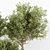 2015 Indoor Plant 187 Model 3D model small image 2