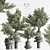 Artificial Bonsai Home Decor Set 3D model small image 1