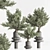 Artificial Bonsai Home Decor Set 3D model small image 2