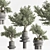 Artificial Bonsai Home Decor Set 3D model small image 3