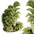 Greenery Blooms Outdoor Plants 3D model small image 1