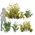 Lush 3D Plant Collection Variety 3D model small image 1