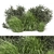 Outdoor Bush Plants Set 675 3D model small image 1