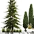 Urban Greenery Collection: Bench and Evergreens 3D model small image 3