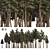 Douglas Fir Forest 3D Model 3D model small image 1