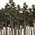 Douglas Fir Forest 3D Model 3D model small image 2