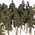 Douglas Fir Forest 3D Model 3D model small image 3